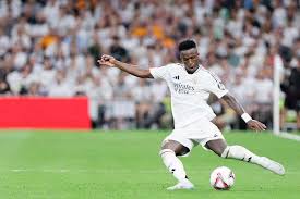 这一决定不 这一决定不